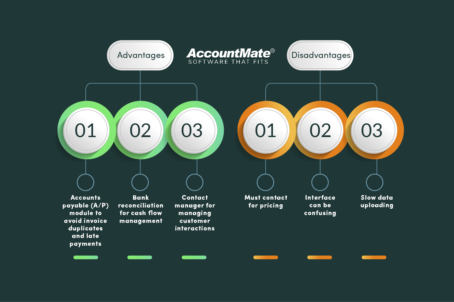 AccountMate Pros and Cons