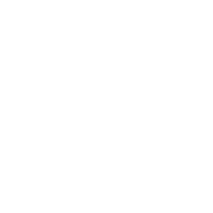 ai readiness icon | Braintree